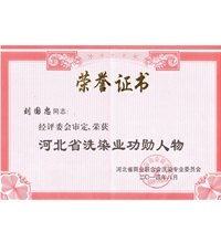 有這樣的領(lǐng)導人我們新航星才會發(fā)展如此之快-酒店洗衣房設備